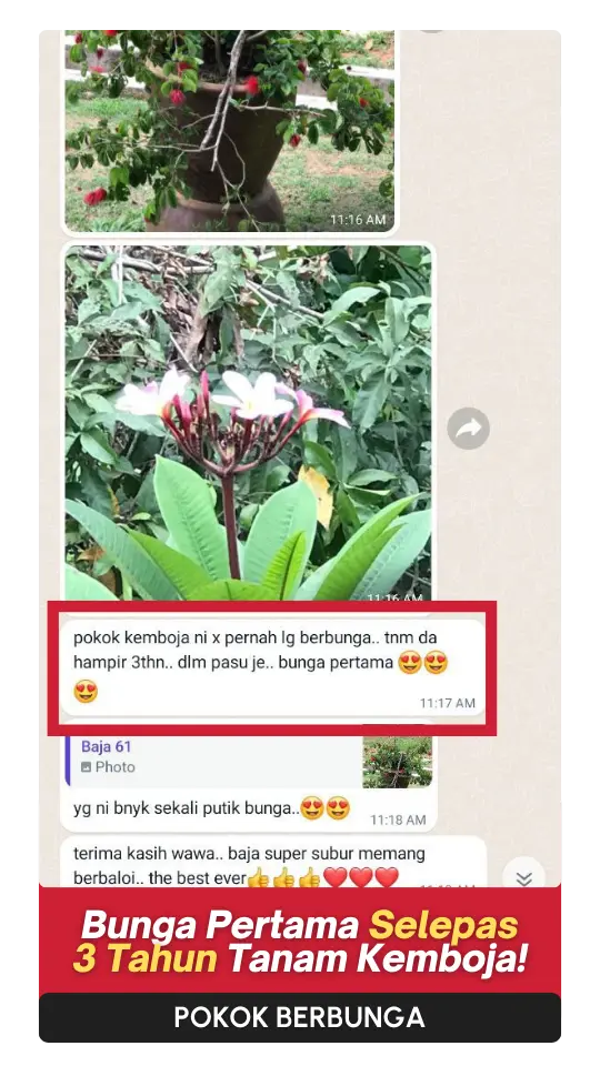 Testimoni-Bunga-2.webp