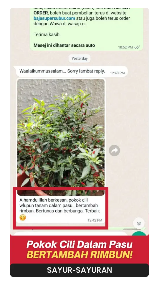 Testimoni-Sayur-4.webp